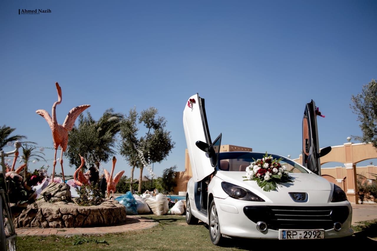 سيارات زفاف